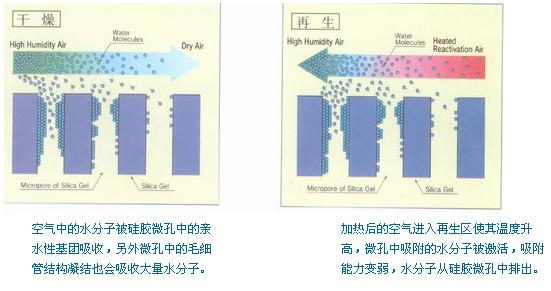 转4.jpg